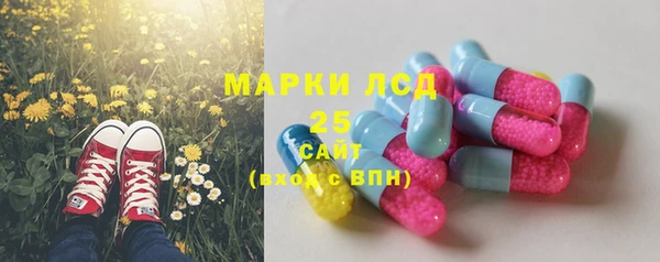 индика Аркадак