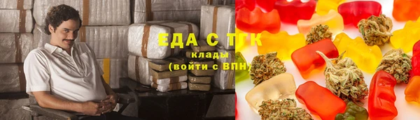 индика Аркадак