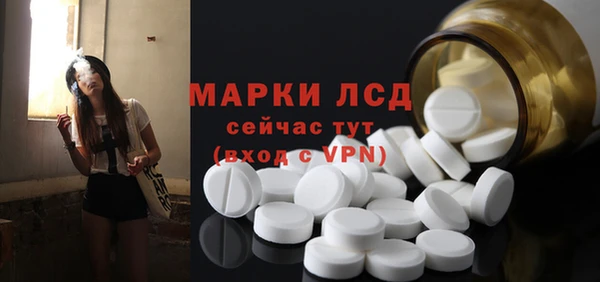 индика Аркадак