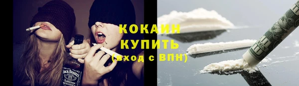 индика Аркадак