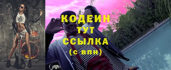 молекула духа Арсеньев