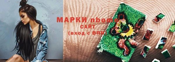 индика Алексин