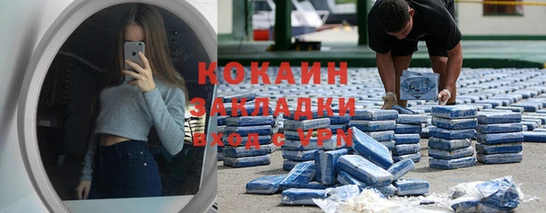 индика Аркадак