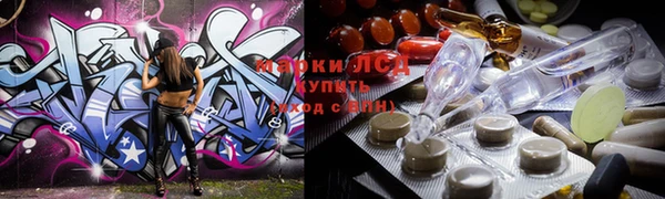 индика Аркадак