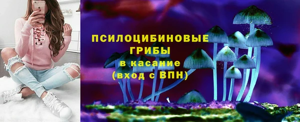молекула духа Арсеньев