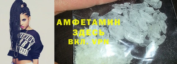 молекула духа Арсеньев